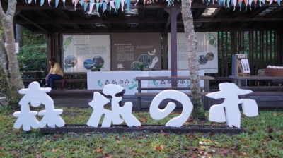 圖說_藤枝【2025 森旅の市】七月登場